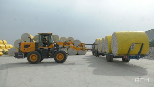 新疆伽师棉花企业开足马力忙生产