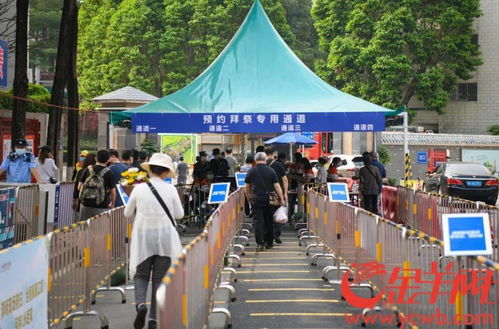 清明假期首日广州逾12万人现场祭扫,无烟拜祭鲜花拜祭成新风尚