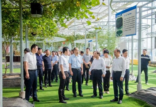 科普之花处处开 丰硕成果全民享 临沂市开展2023年全国科普活动