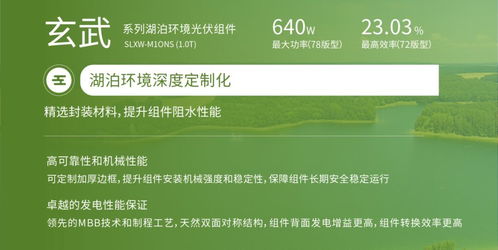 双良新能科技超级光能系列高效光伏组件荣获韩国工业标准KS认证，助力银河棉业绿色发展